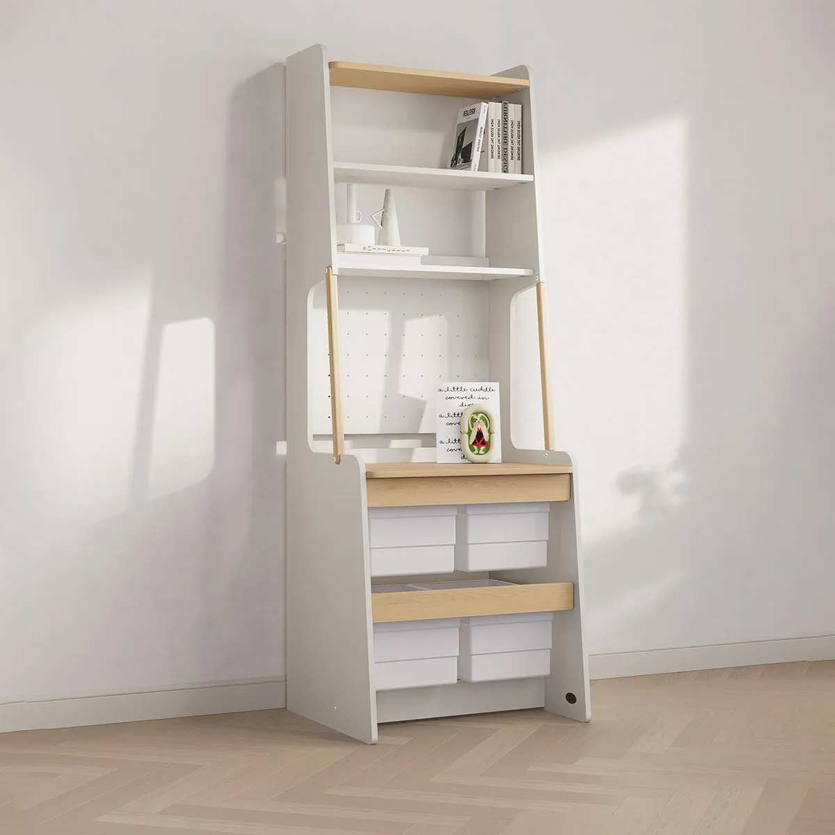 Euler Storage Bookcase V23