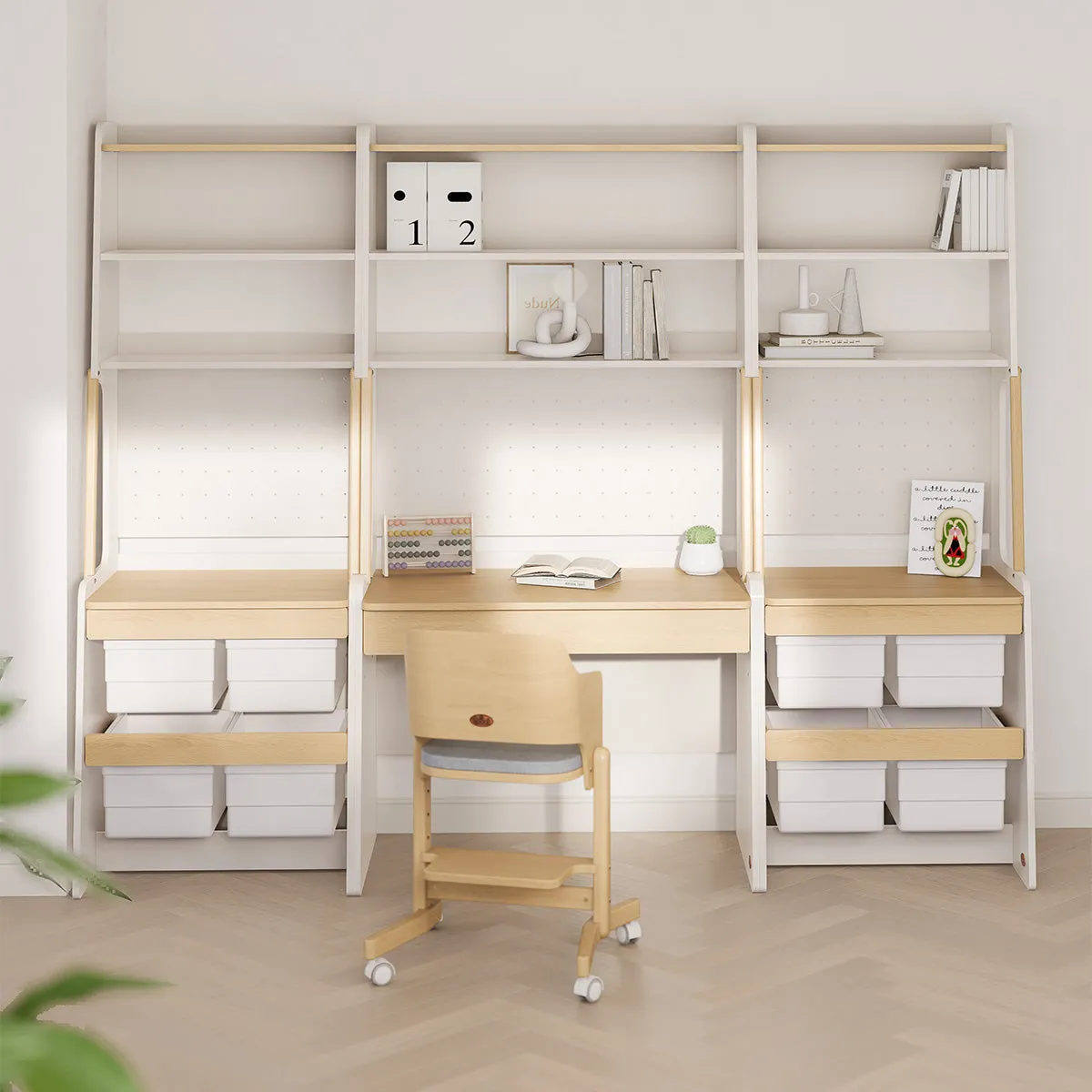 Euler Storage Bookcase V23