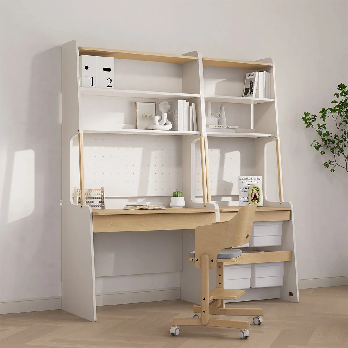 Euler Storage Bookcase V23
