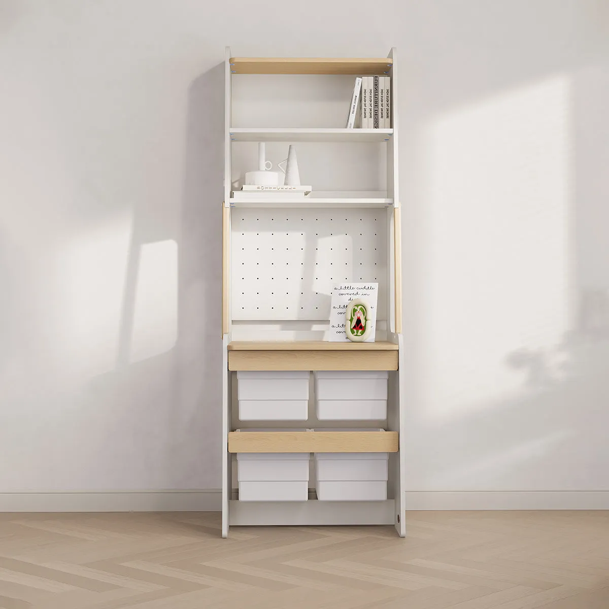Euler Storage Bookcase V23